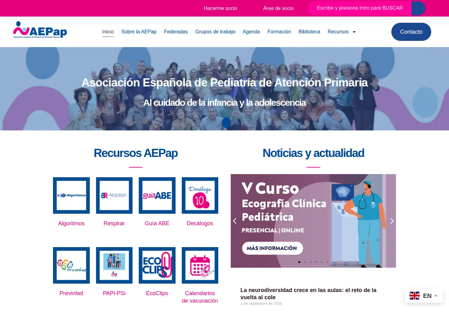 Screenshot of aepap.org