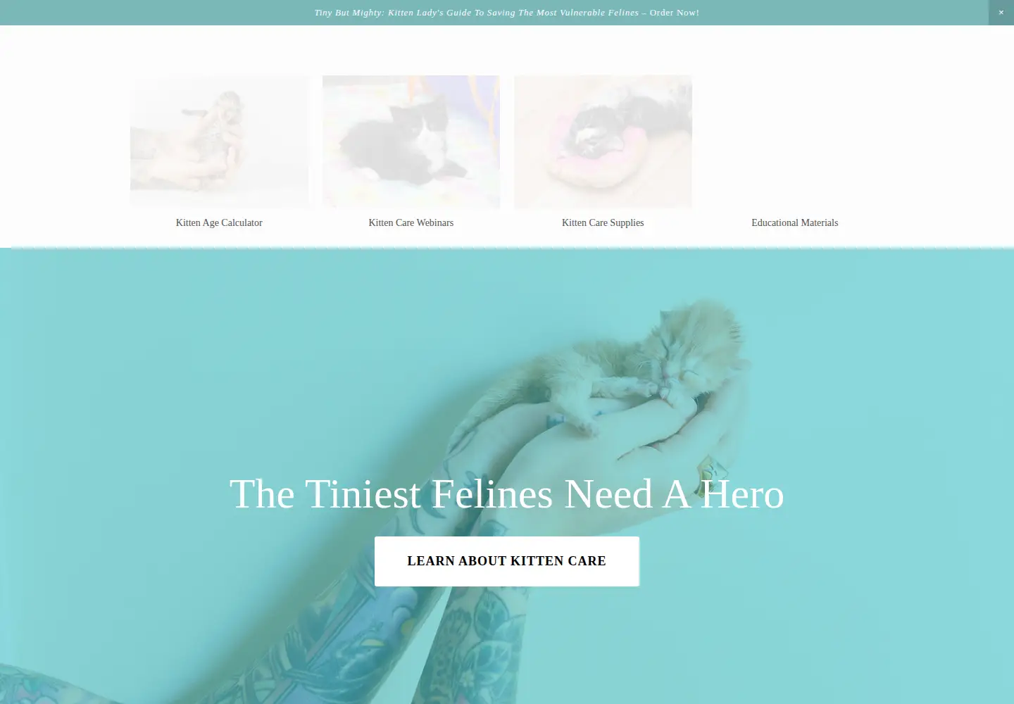 Screenshot of kittenlady.org