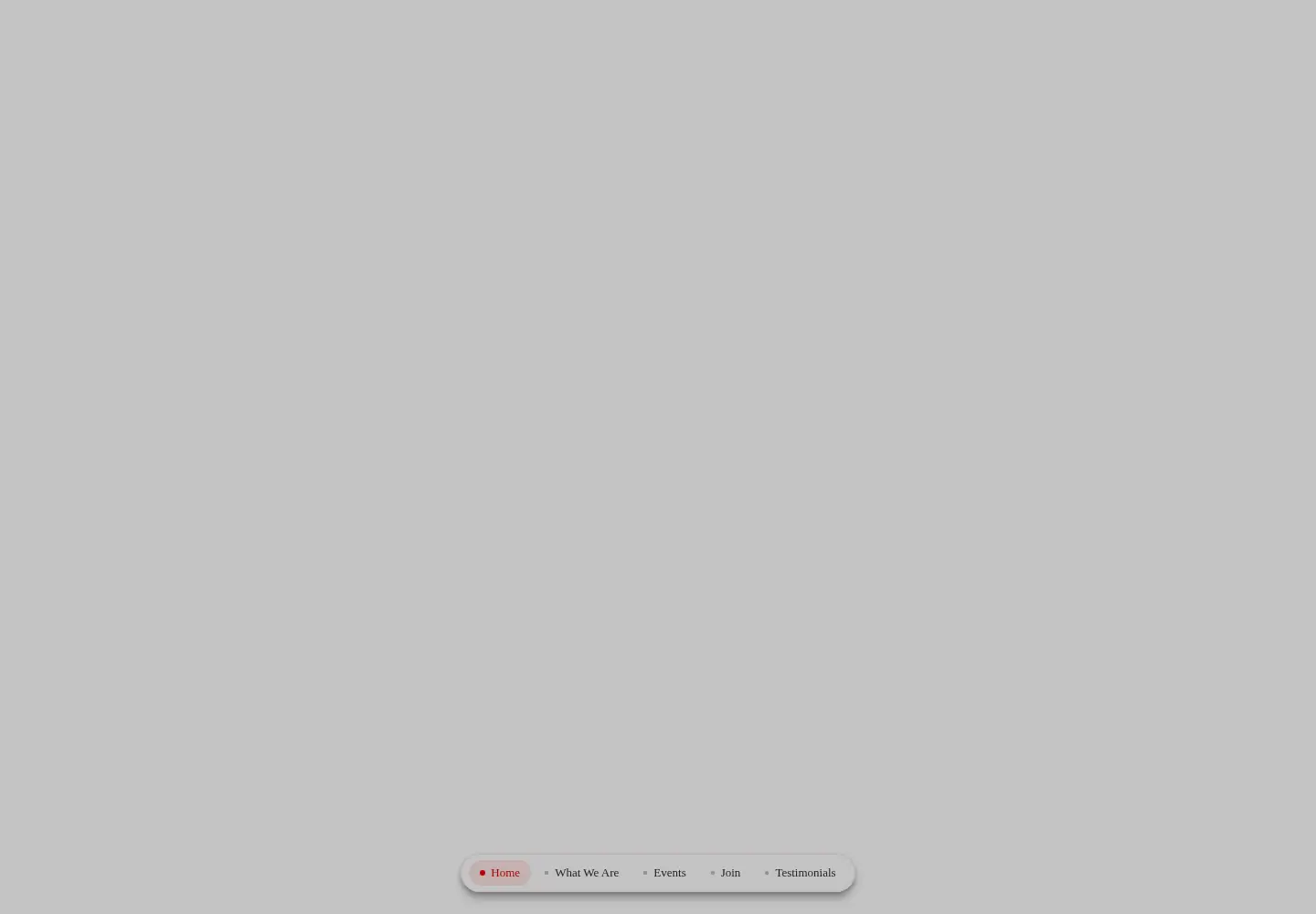 Screenshot of 501st.com