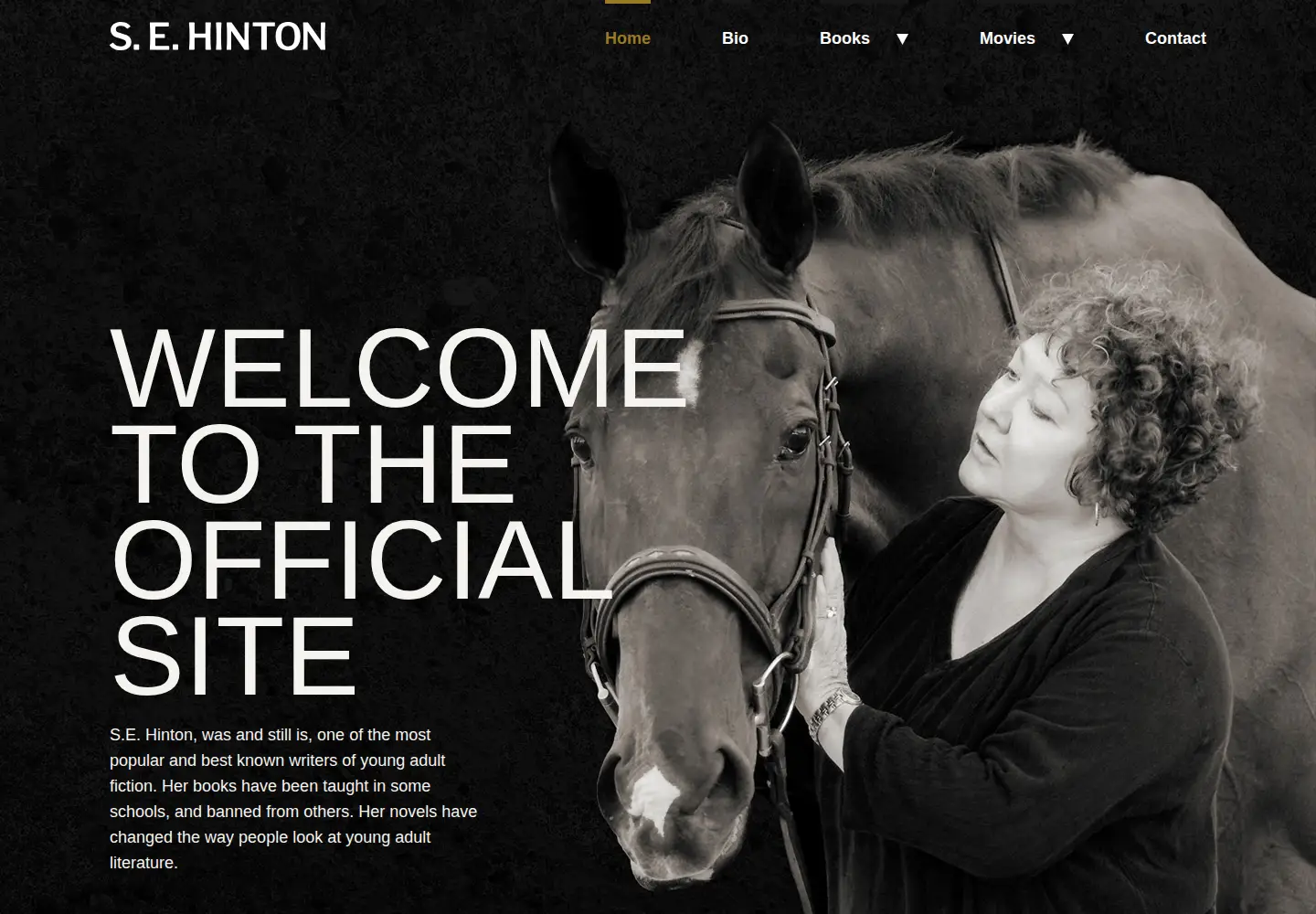 Screenshot of sehinton.com
