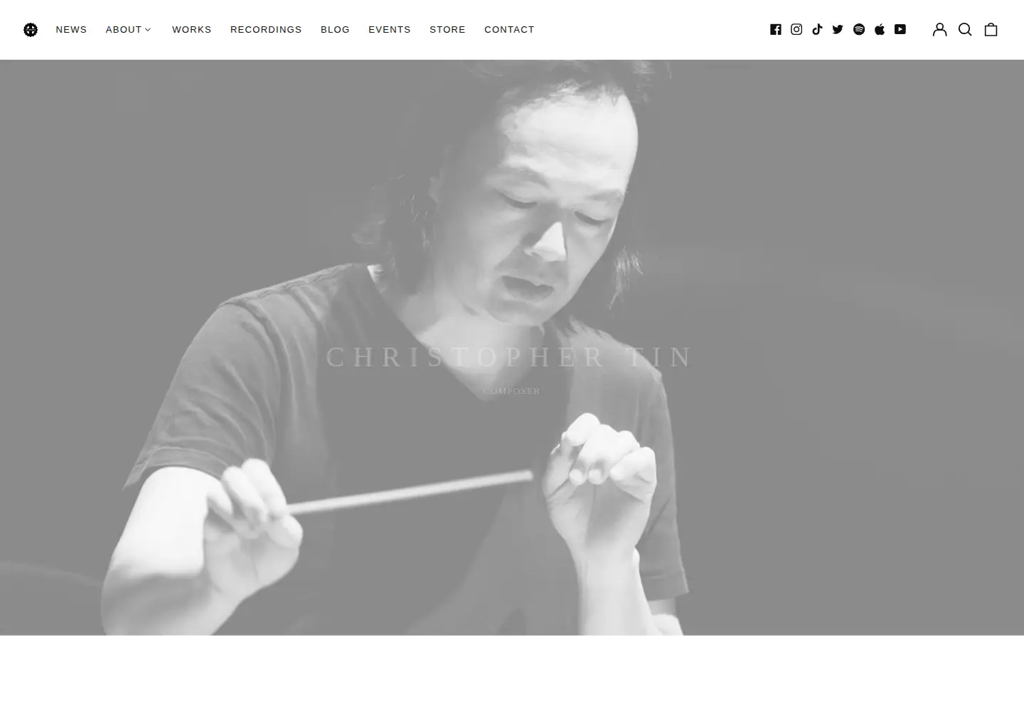 Screenshot of christophertin.com