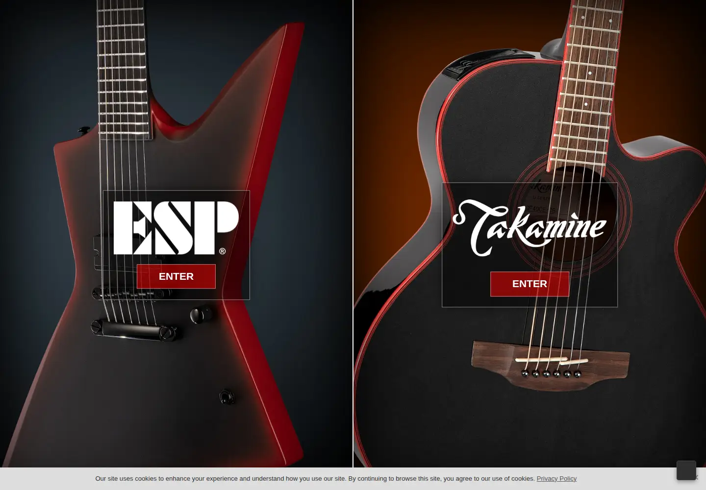 Screenshot of espguitars.com