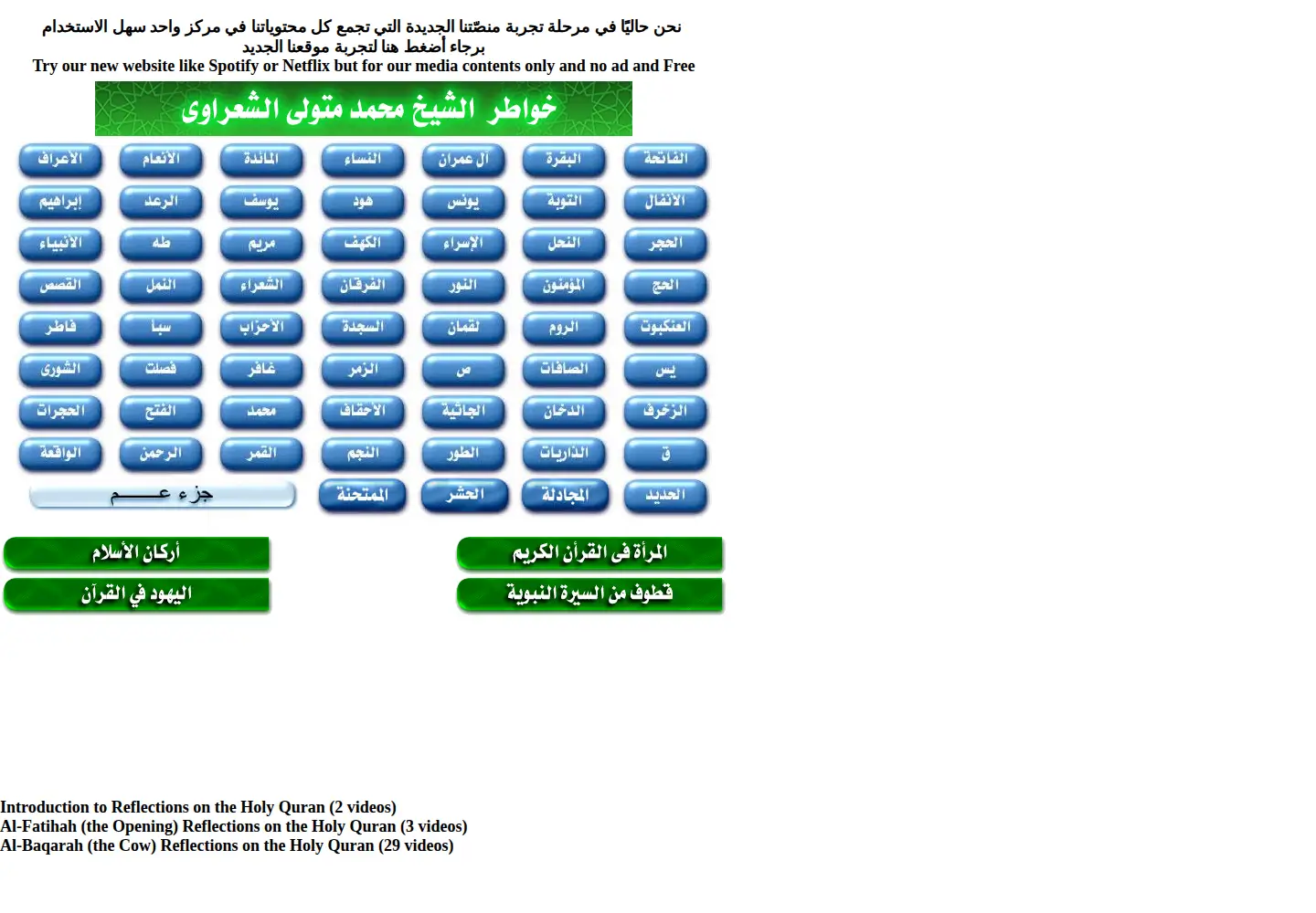 Screenshot of elsharawy.com