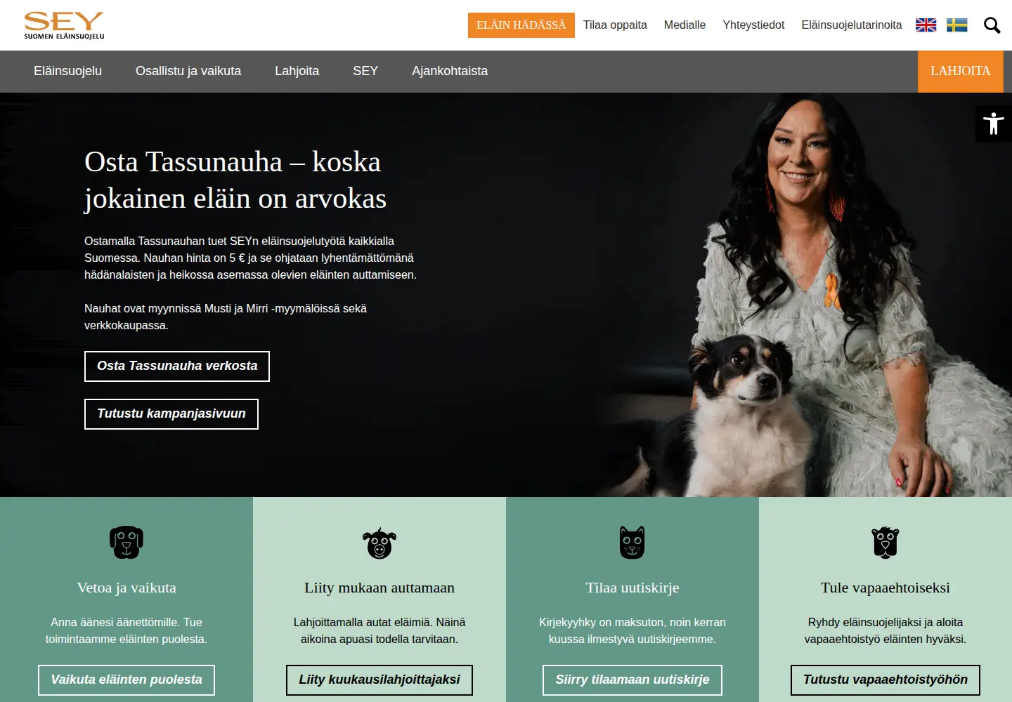 Screenshot of sey.fi