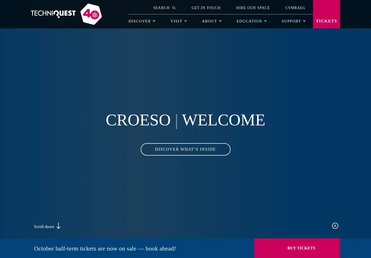 Screenshot of techniquest.org
