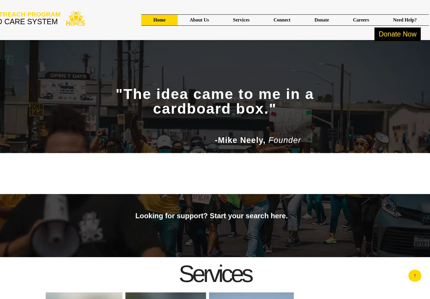 Captured homepage of hopics.org in the current scan