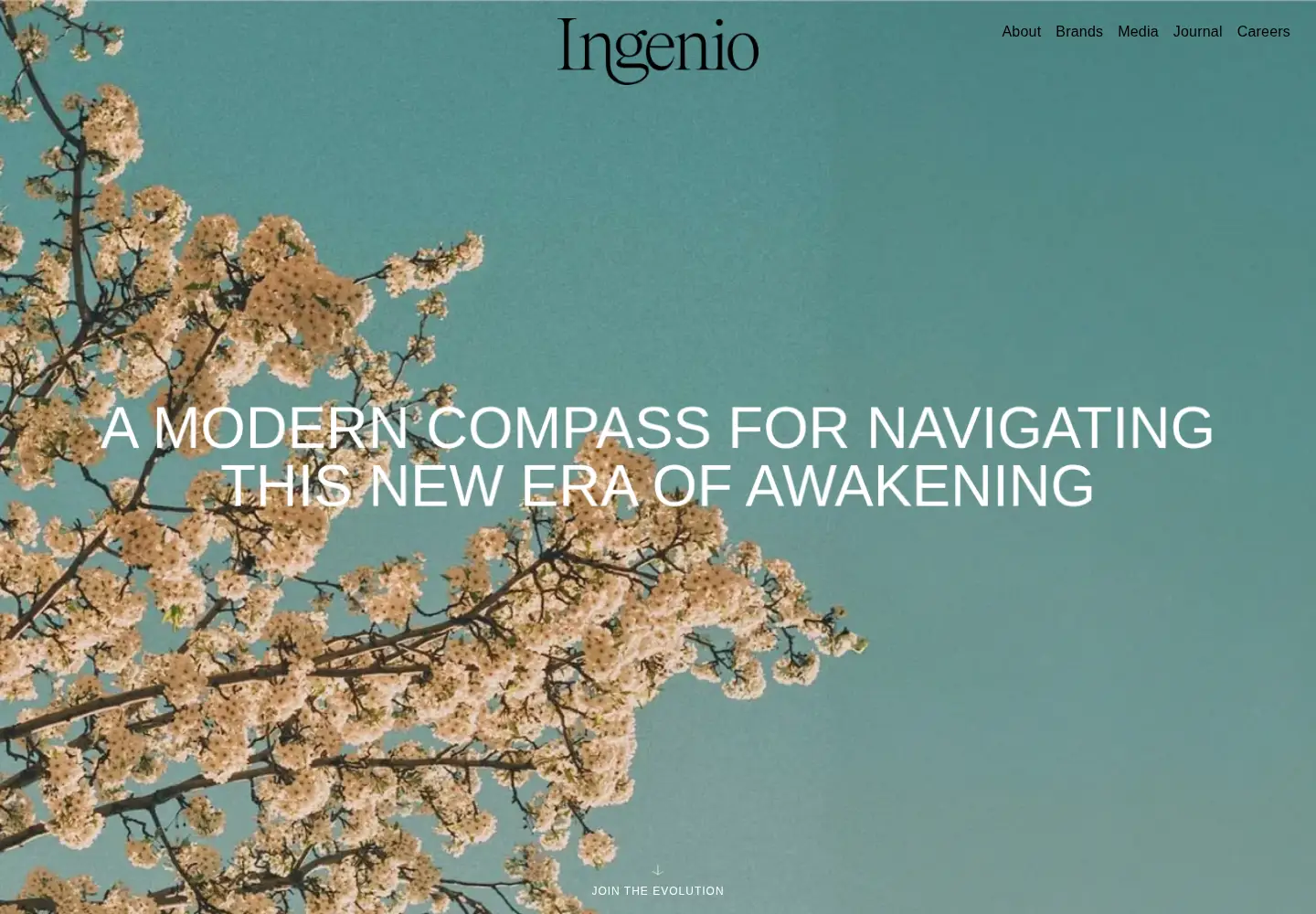 Screenshot of ingenio.com