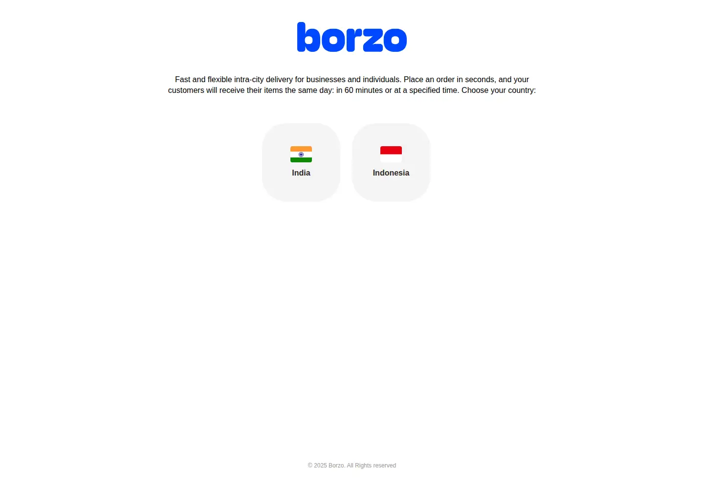 Screenshot of borzodelivery.com