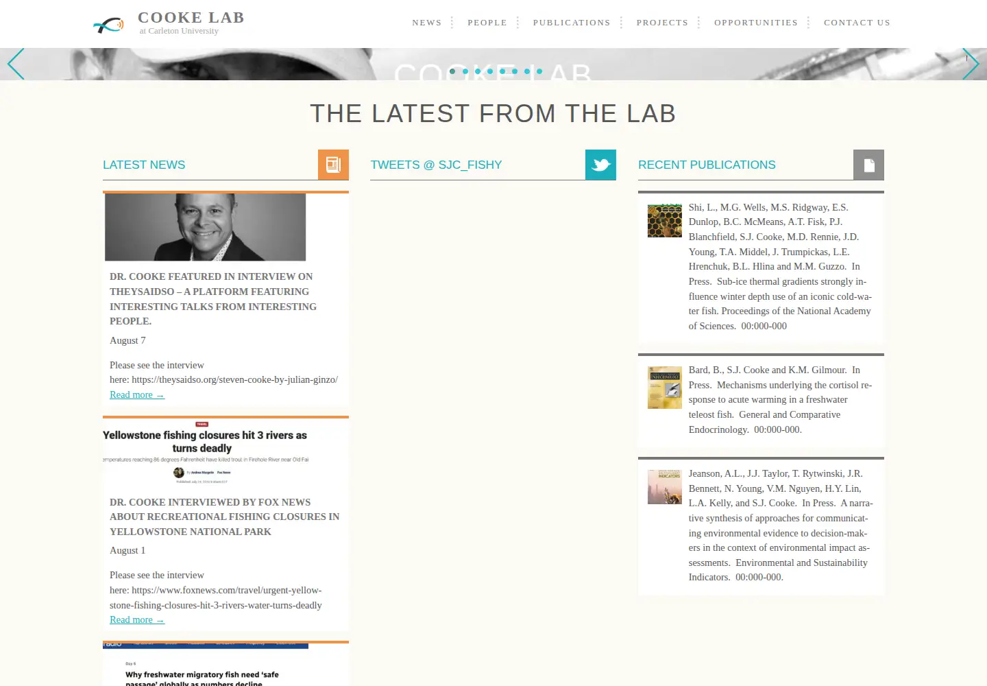 Screenshot of fecpl.ca