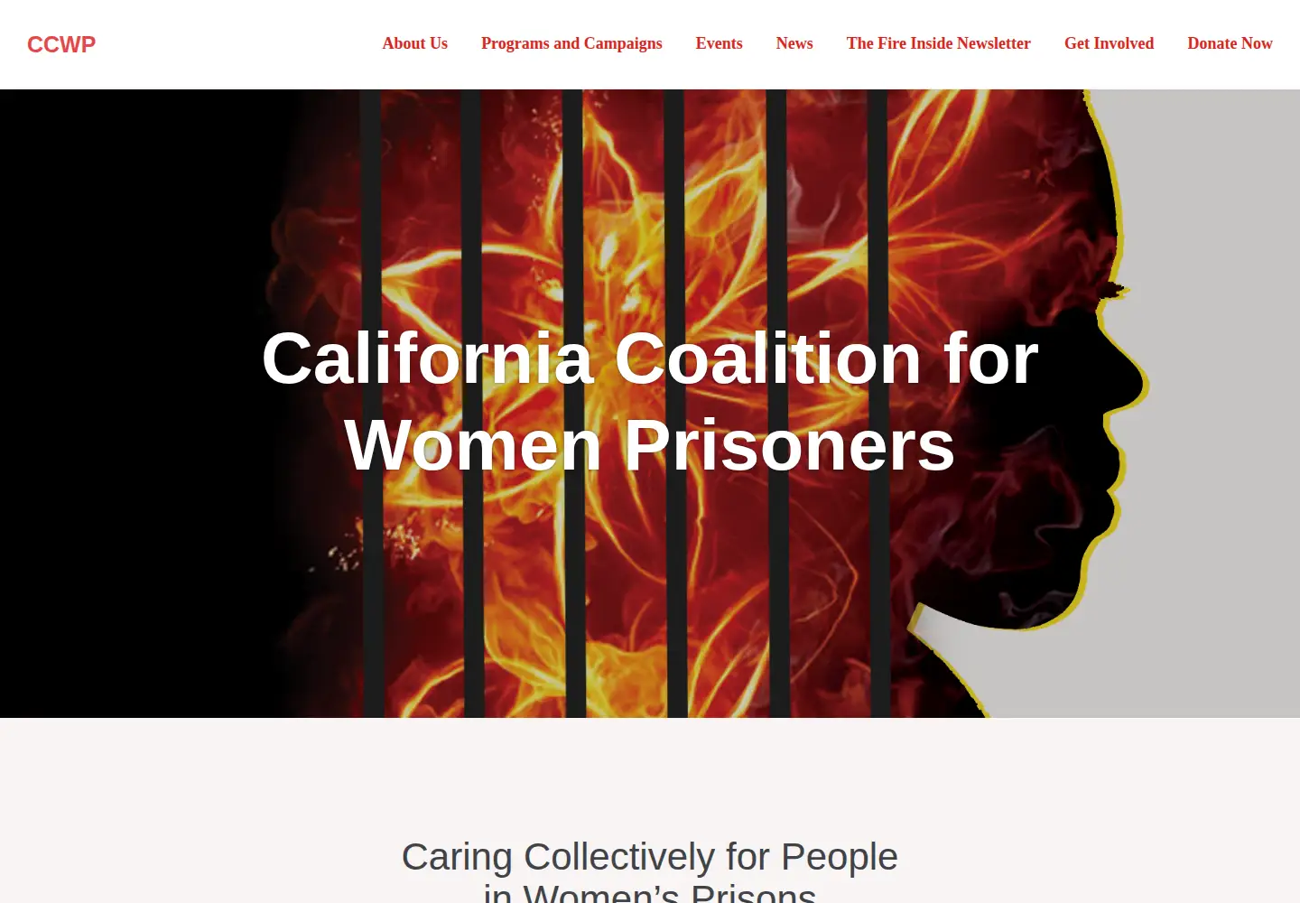 Screenshot of womenprisoners.org