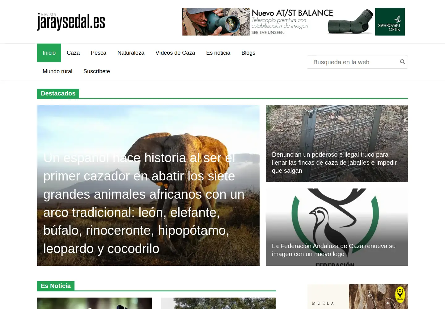 Screenshot of revistajaraysedal.es