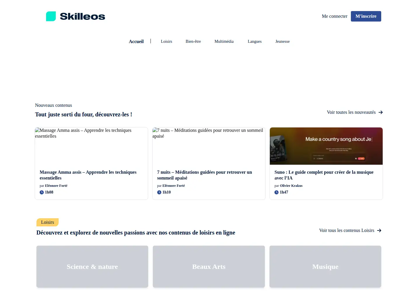 Screenshot of skilleos.com