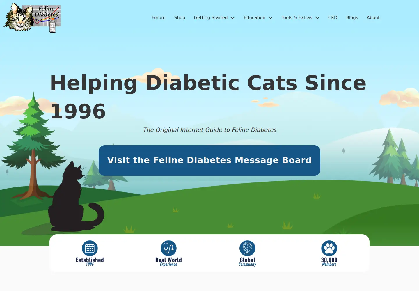 Screenshot of felinediabetes.com