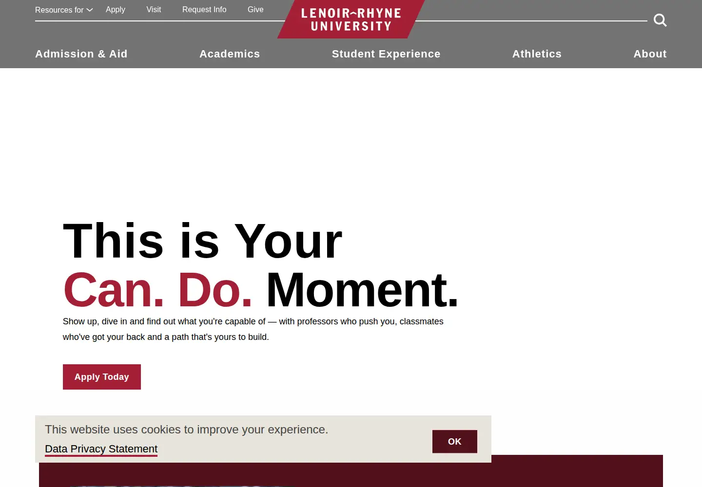 Screenshot of lr.edu