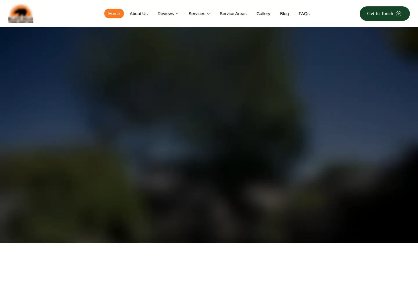 Screenshot of blackbeartree.com