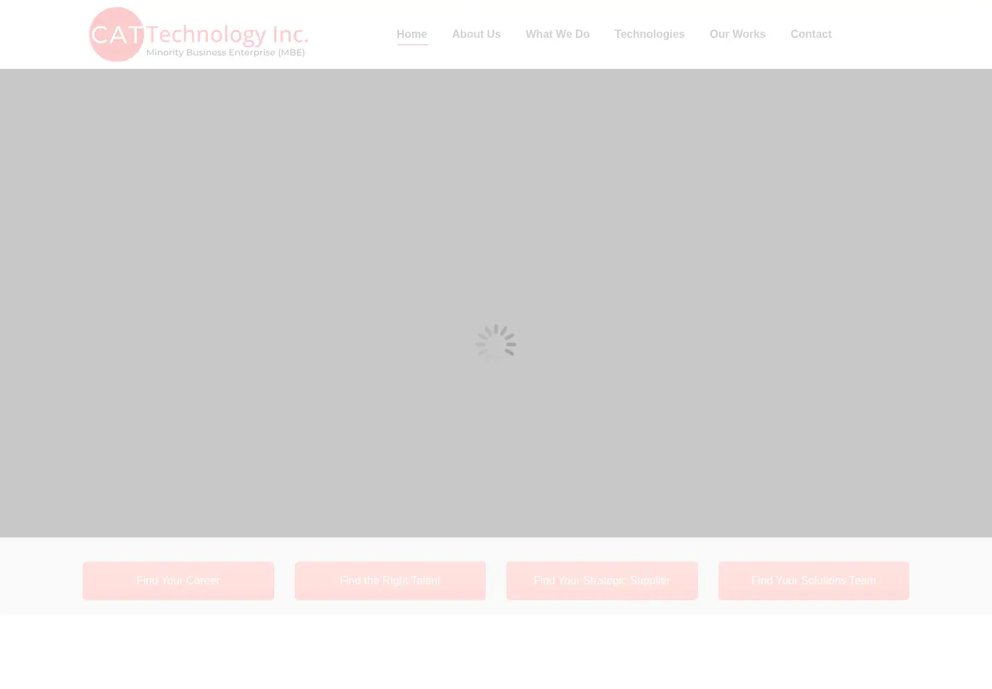 Screenshot of catamerica.com