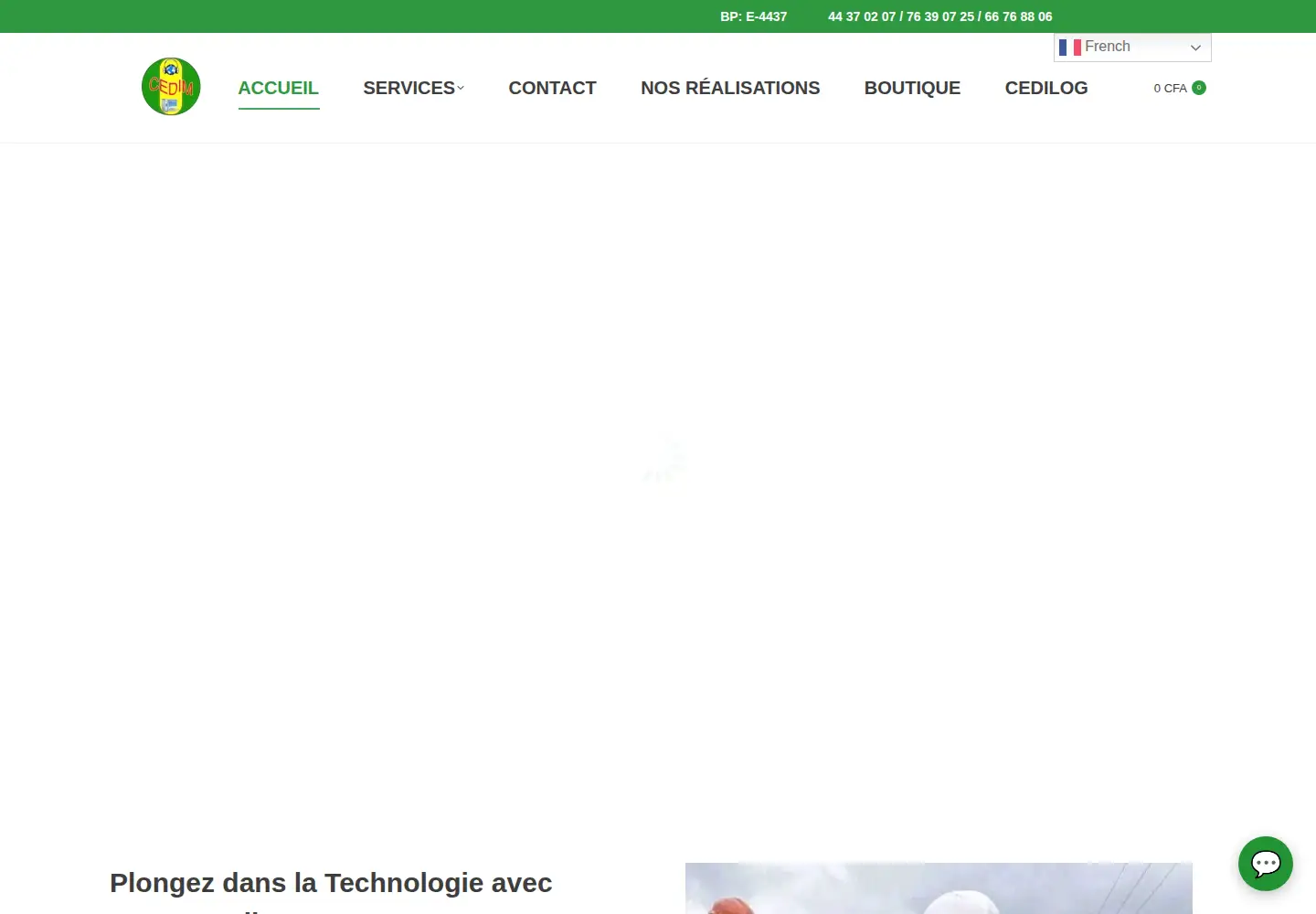 Screenshot of cedim-mali.com