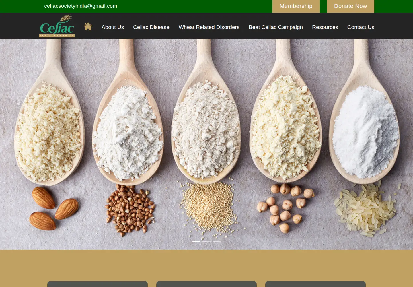 Screenshot of celiacsocietyofindia.com