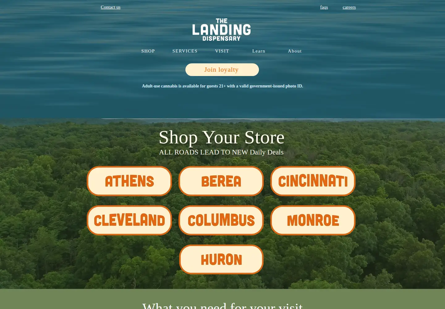 Captured homepage of thelandingoh.com in the current scan