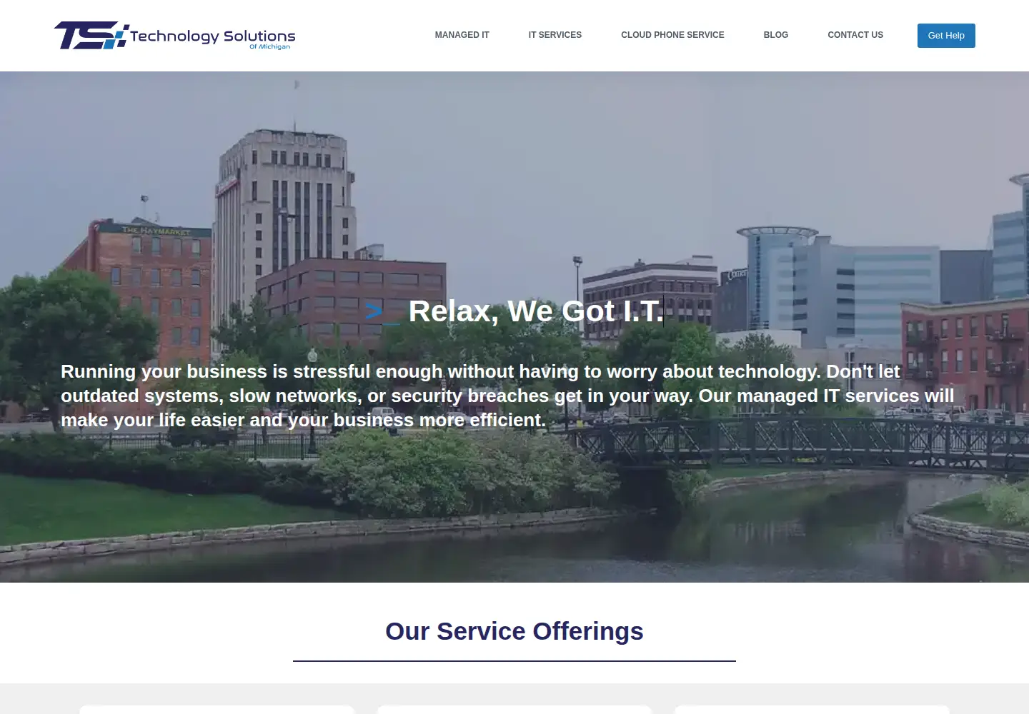Screenshot of ts-mi.com