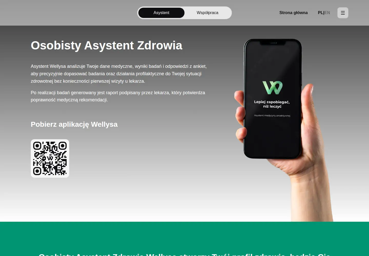 Screenshot of wellysa.com