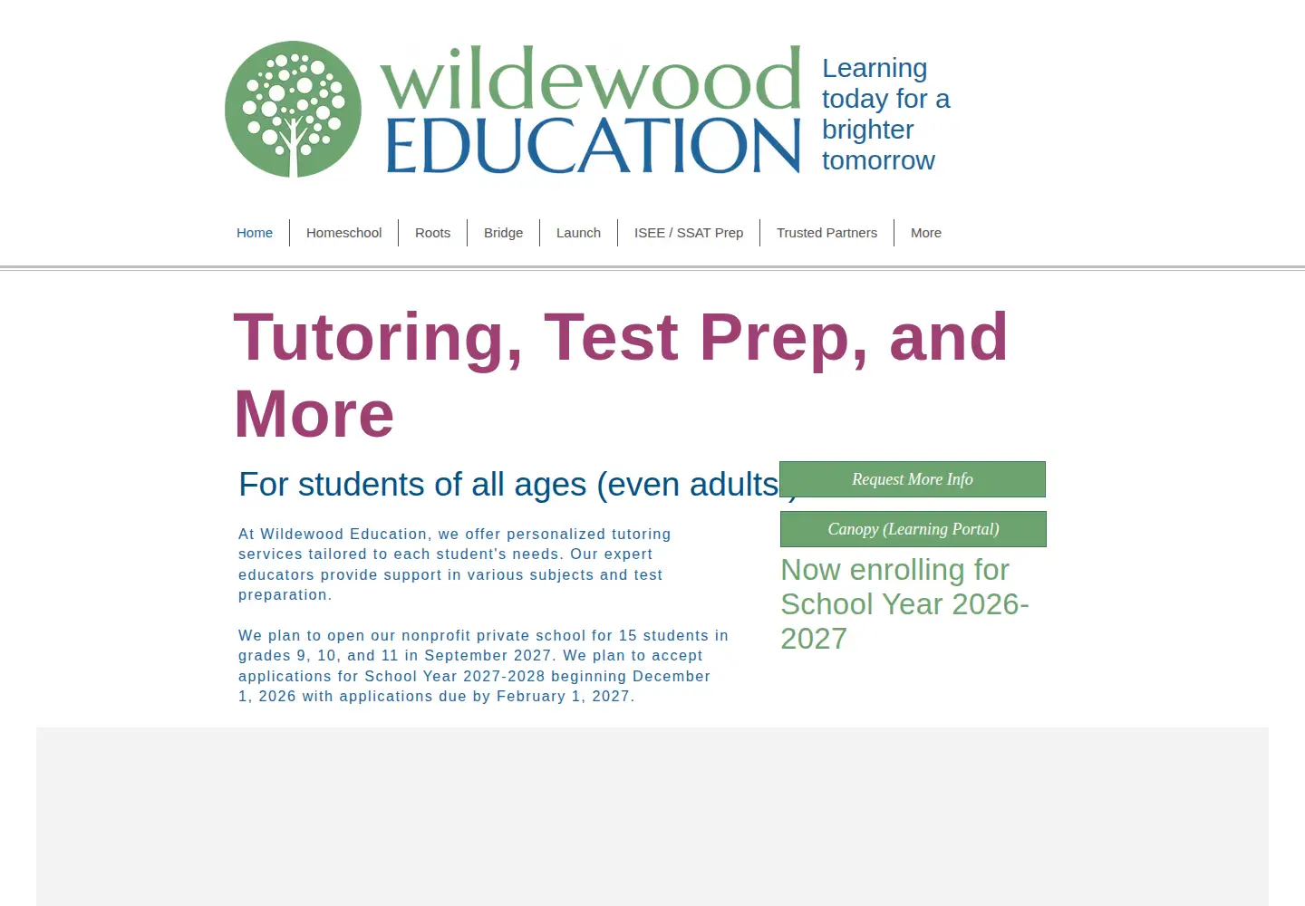 Screenshot of wildewoodtutors.com