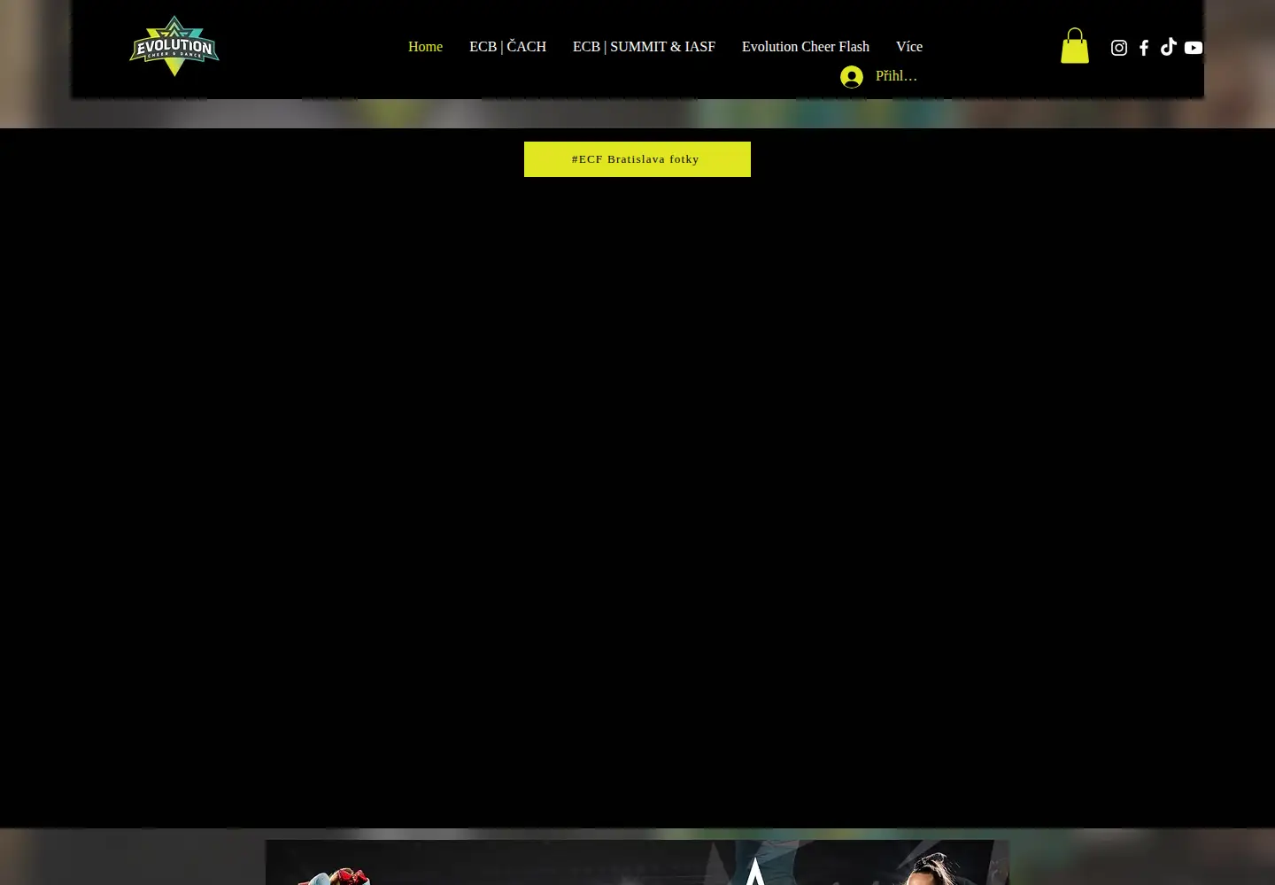 Captured homepage of evolutioncheer.eu in the current scan