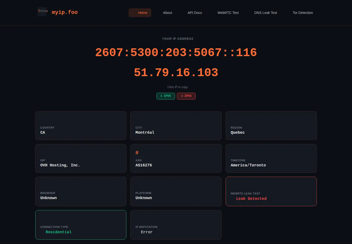 Screenshot of myip.foo