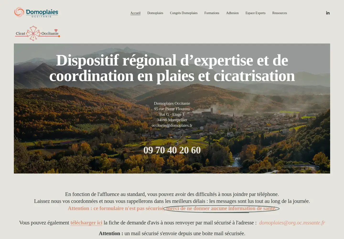 Screenshot of domoplaies-occ.fr