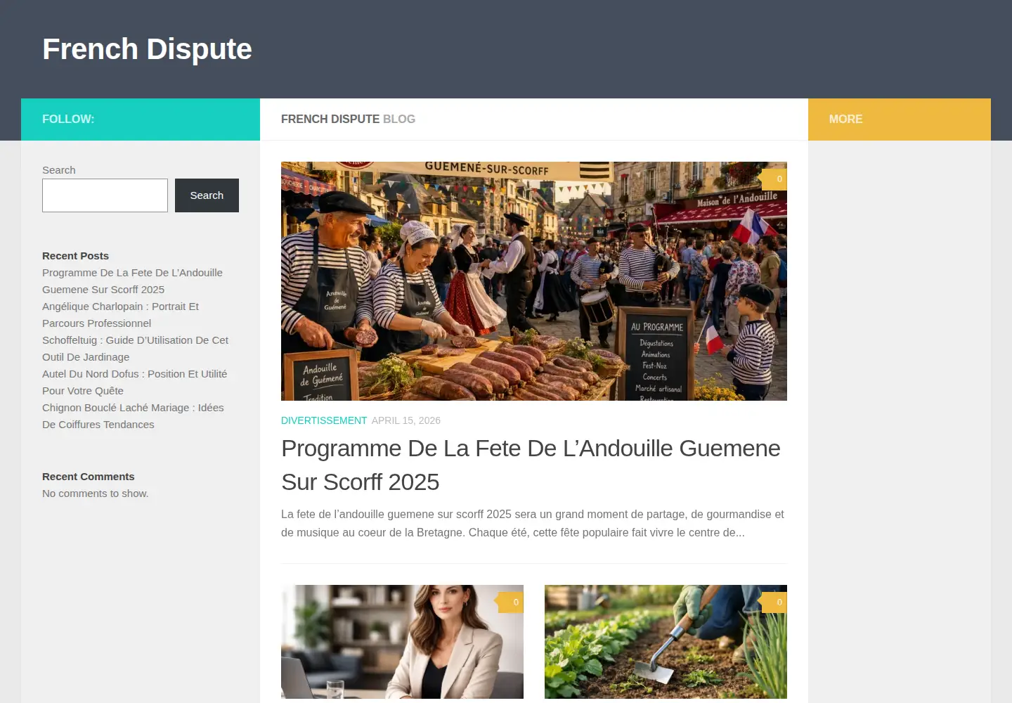 Screenshot of frenchdispute.fr
