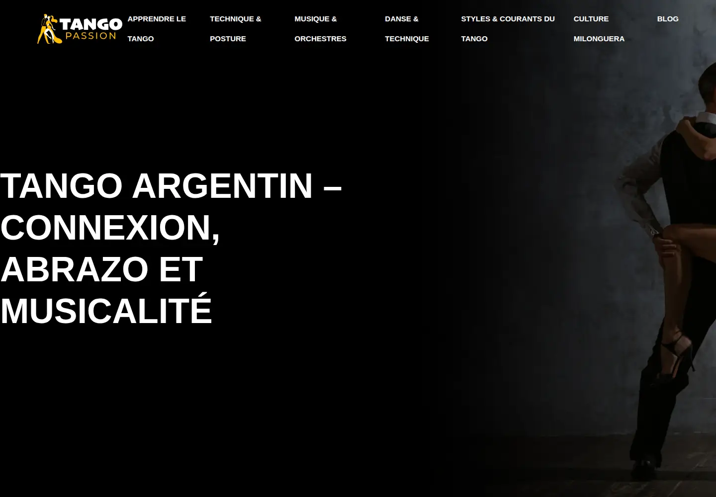Captured homepage of tangopassion.fr in the current scan