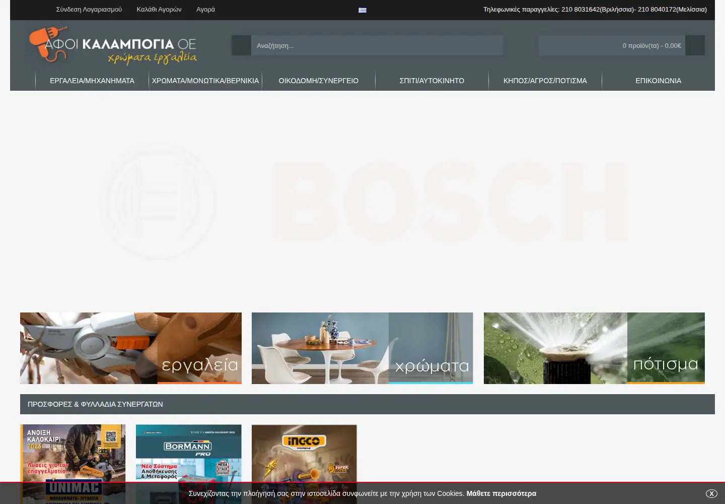 Captured homepage of oikodomisi.gr in the current scan