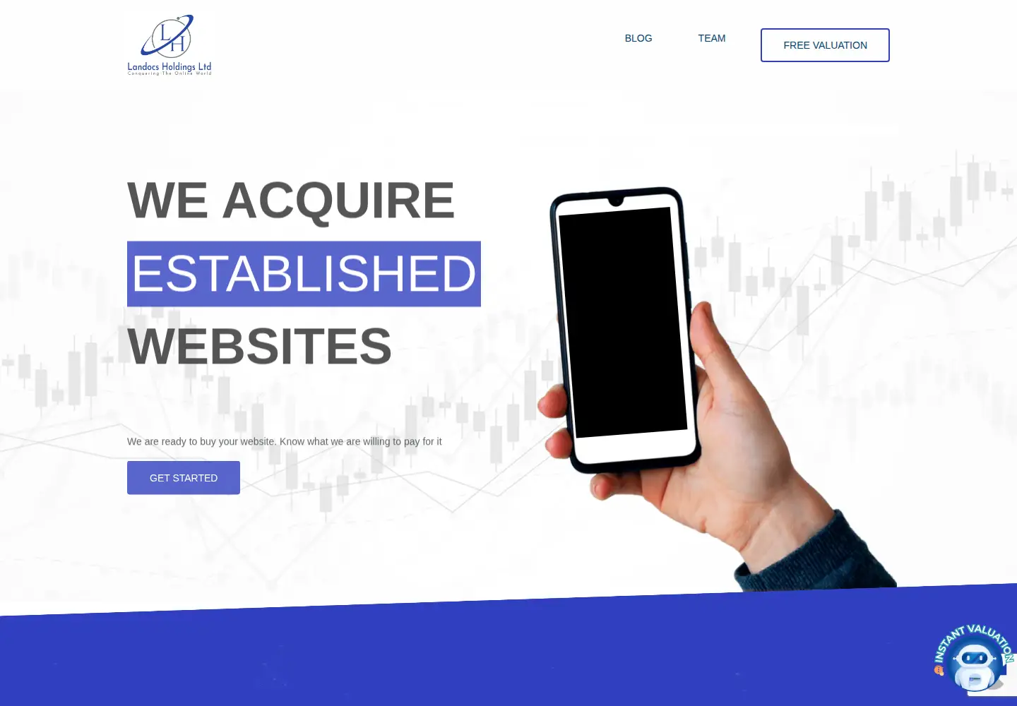 Captured homepage of sellyourwebsite.guru in the current scan