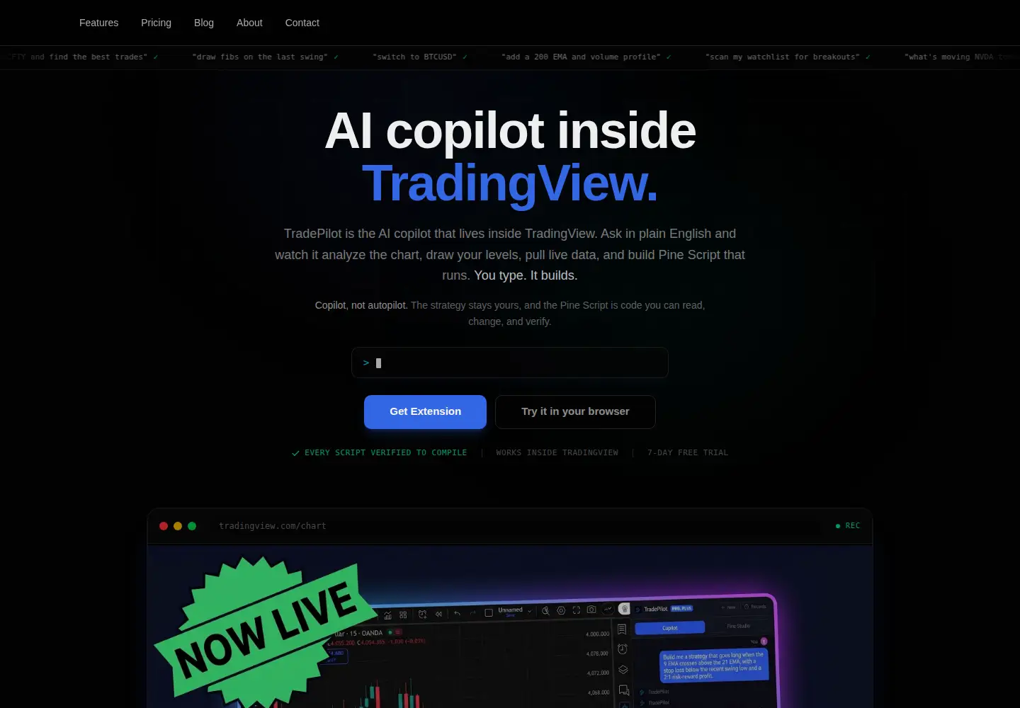 Screenshot of tradepilot.co.in