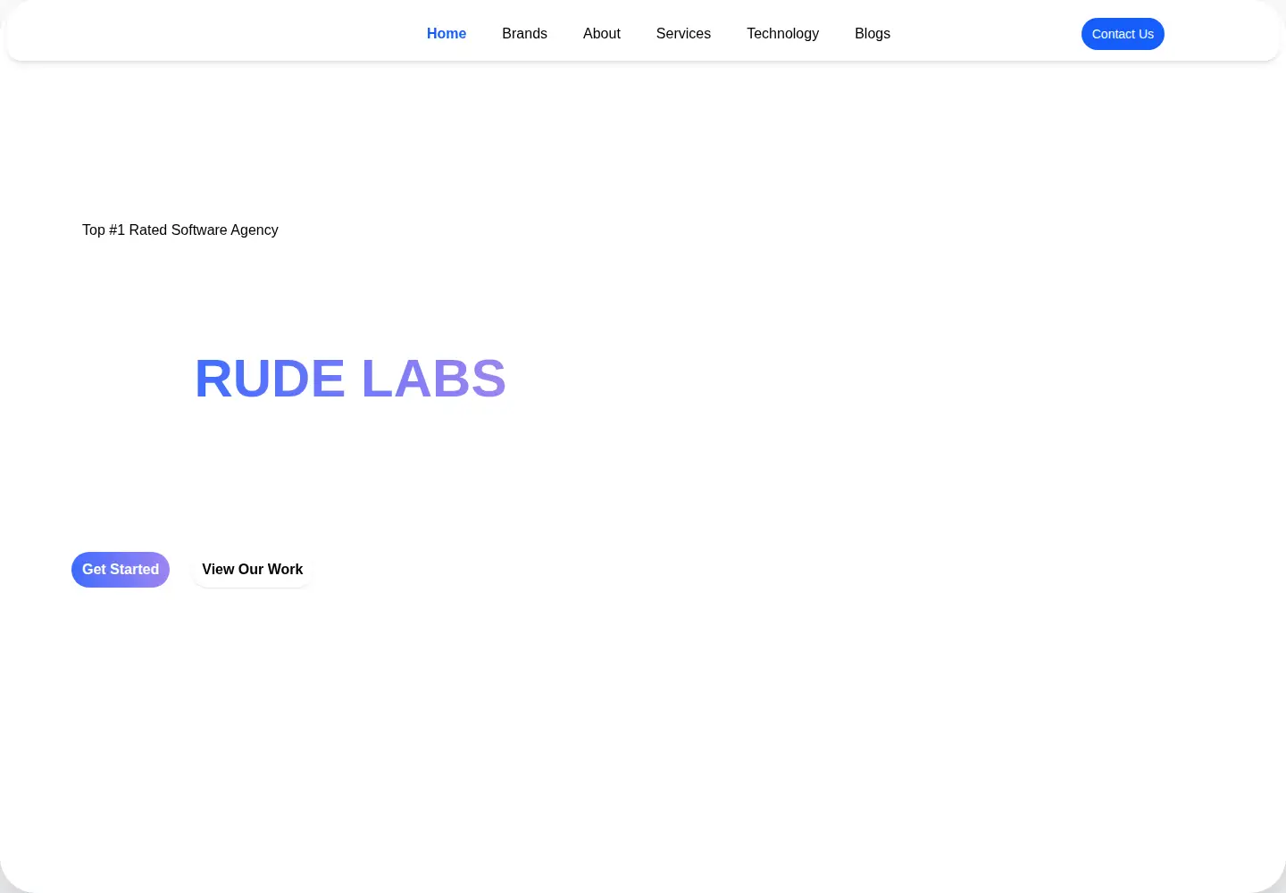 Captured homepage of rudelabs.in in the current scan