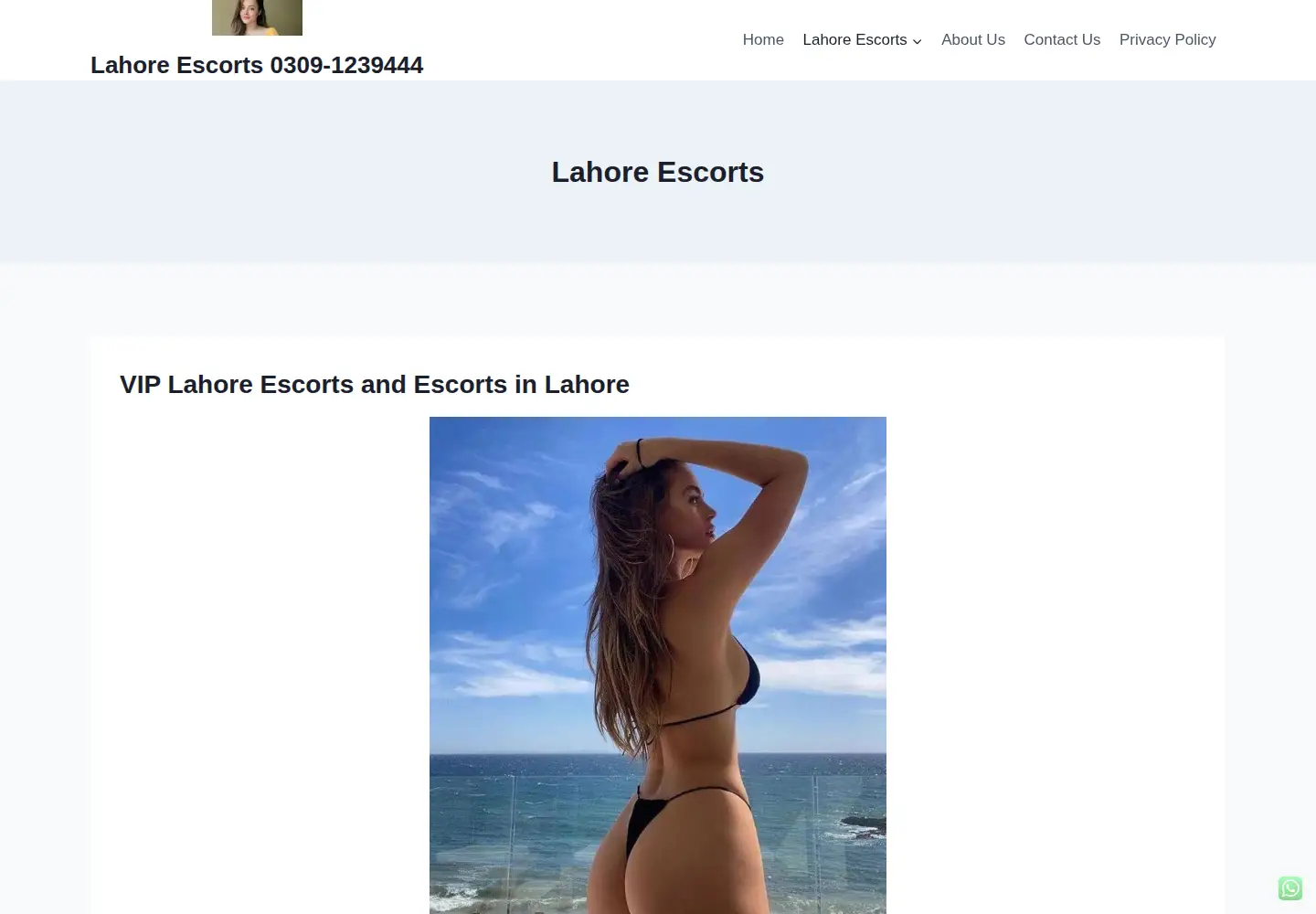 Screenshot of lahorecats.com