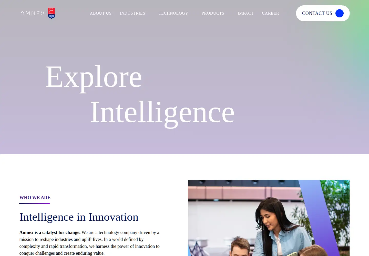 Screenshot of amnex.com