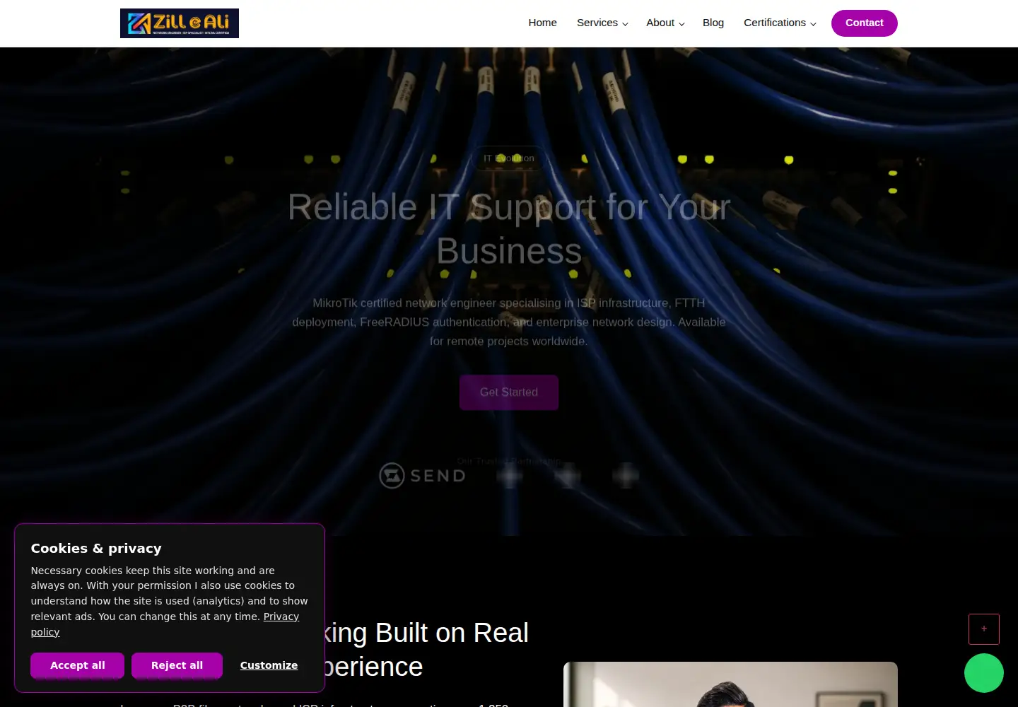 Captured homepage of zilleali.com in the current scan