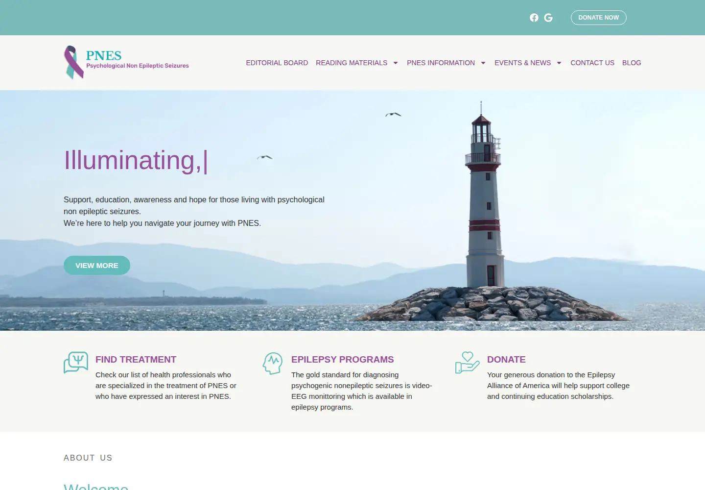 Screenshot of nonepilepticseizures.com