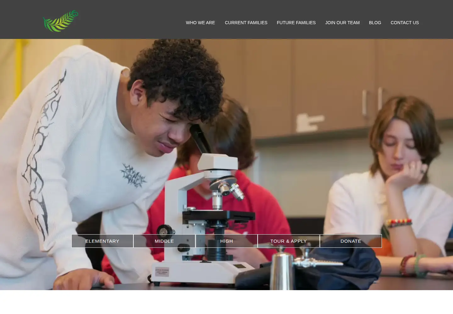 Screenshot of fernleafccs.org