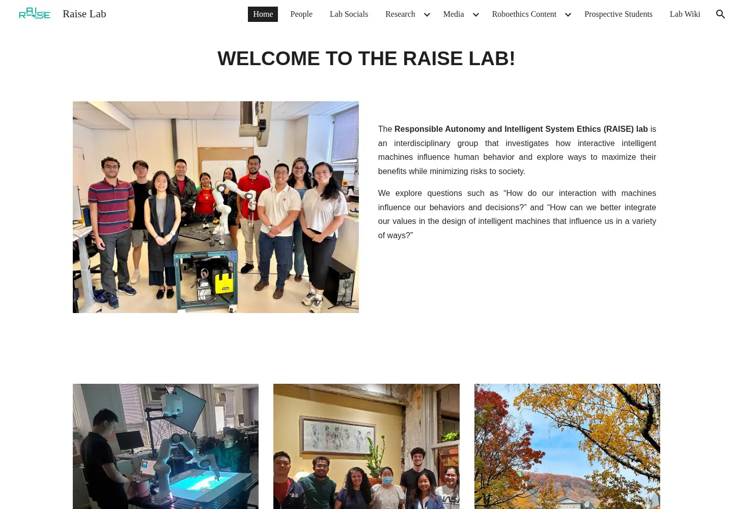 Screenshot of raiselab.ca