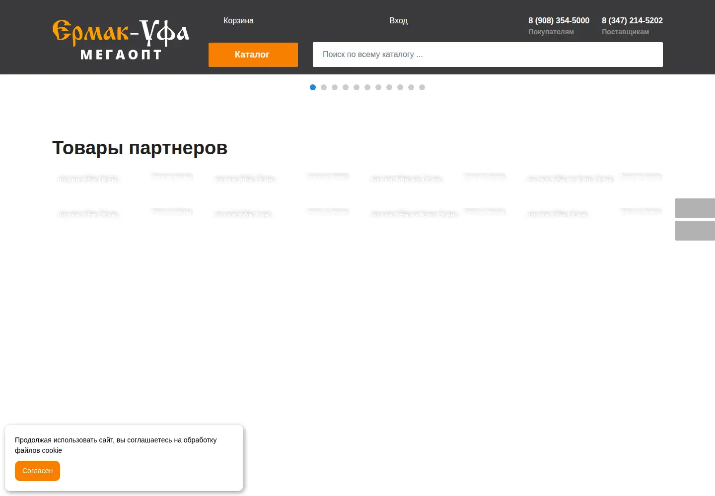 Captured homepage of ermak-ufa.ru in the current scan