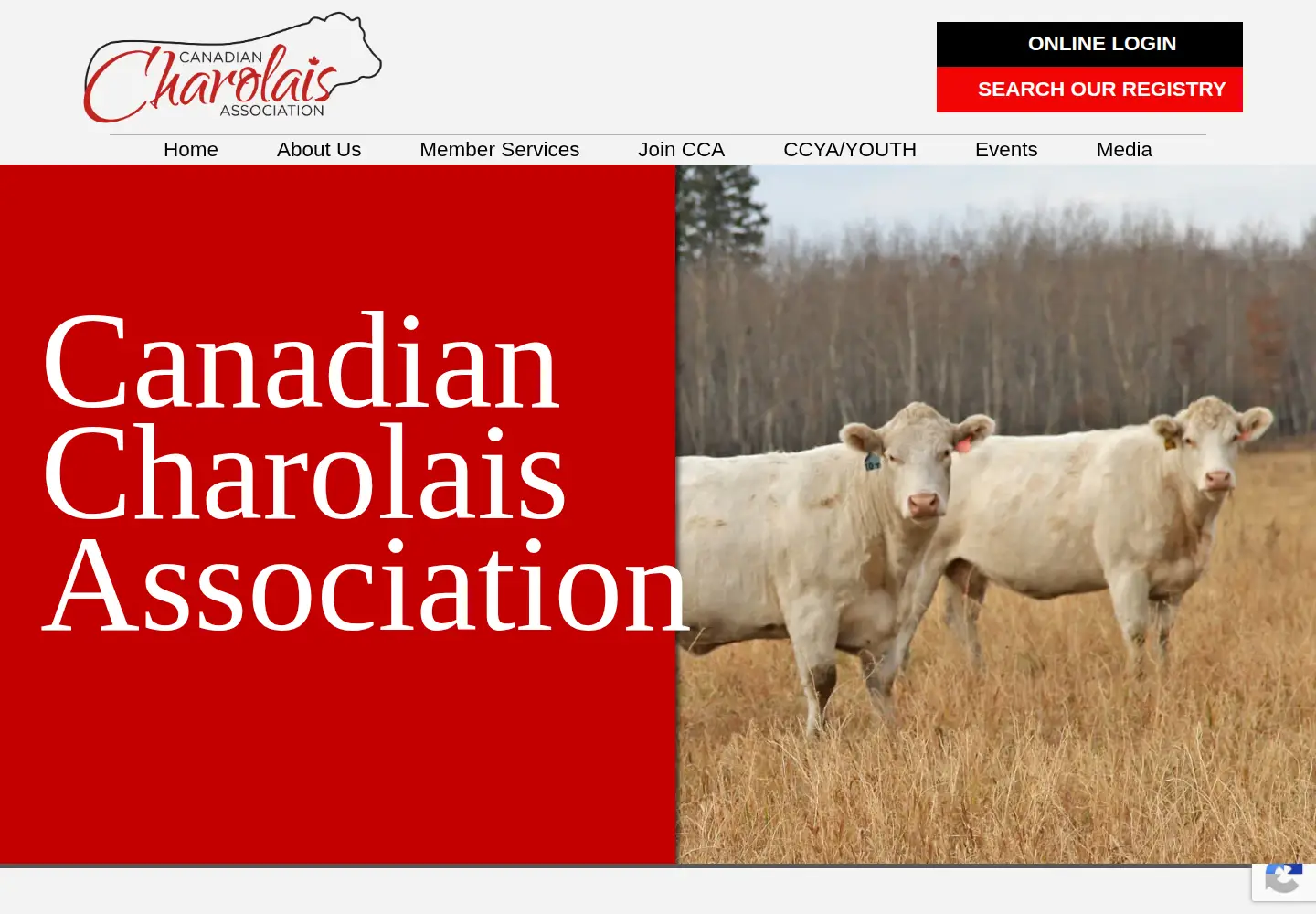 Screenshot of charolais.com