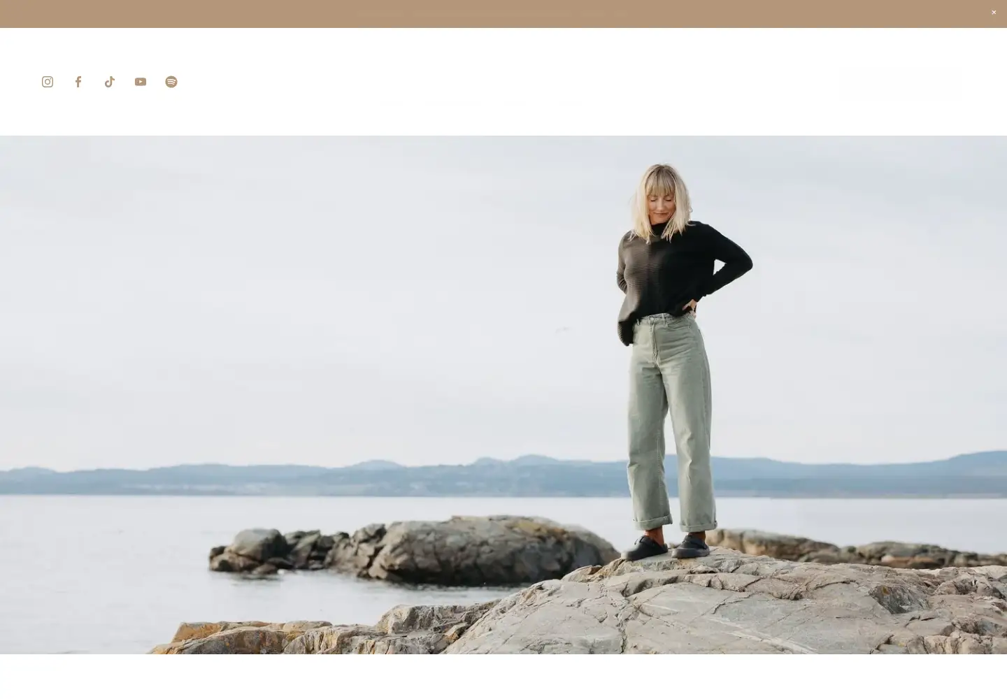 Captured homepage of carolynannebudgell.com in the current scan