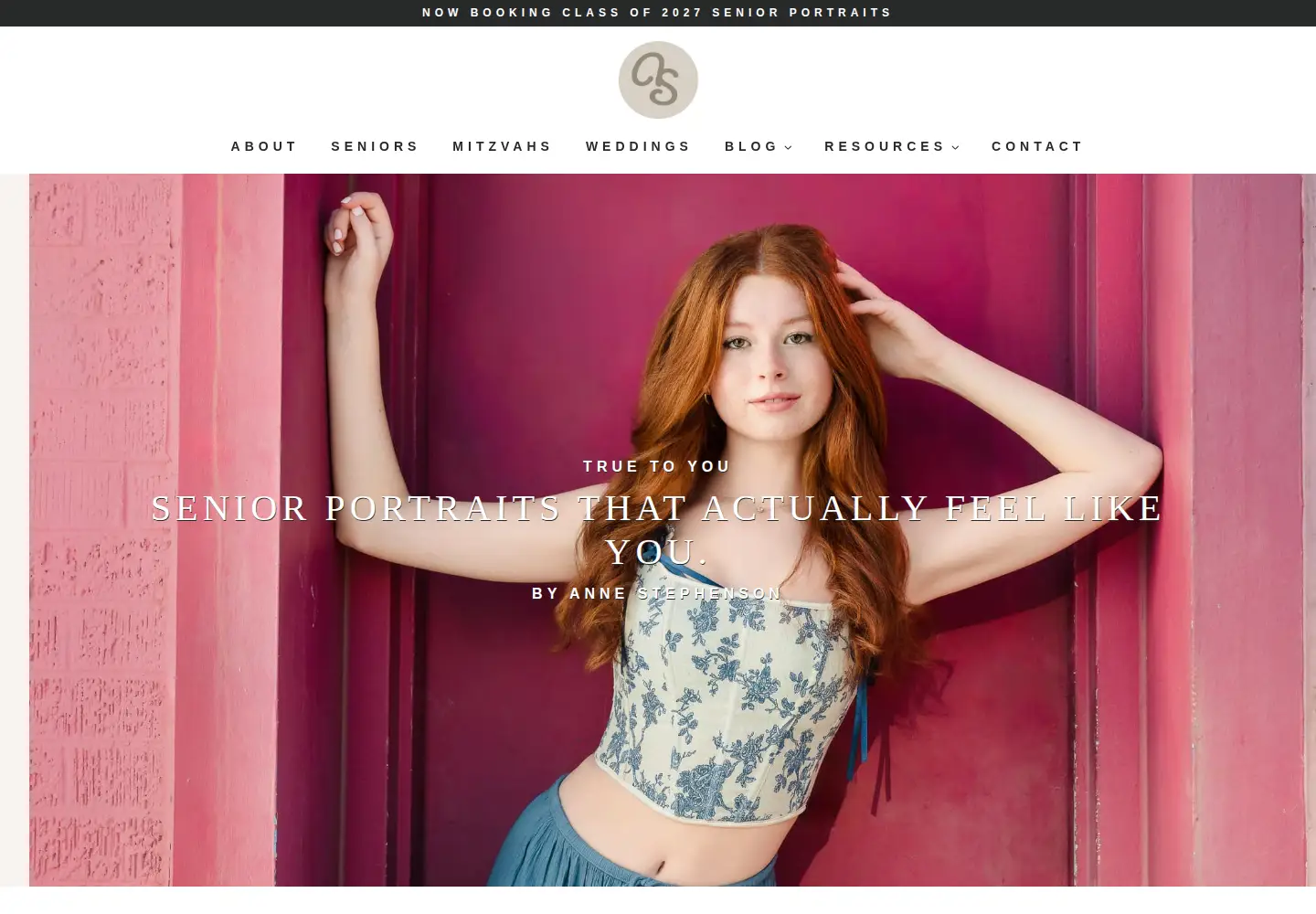 Screenshot of annestephensonphoto.com