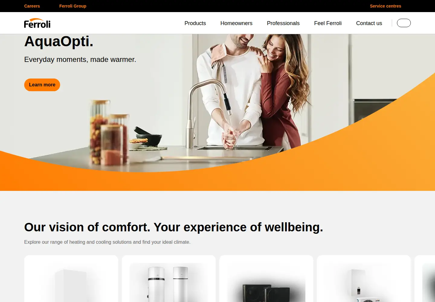 Screenshot of ferroli.com