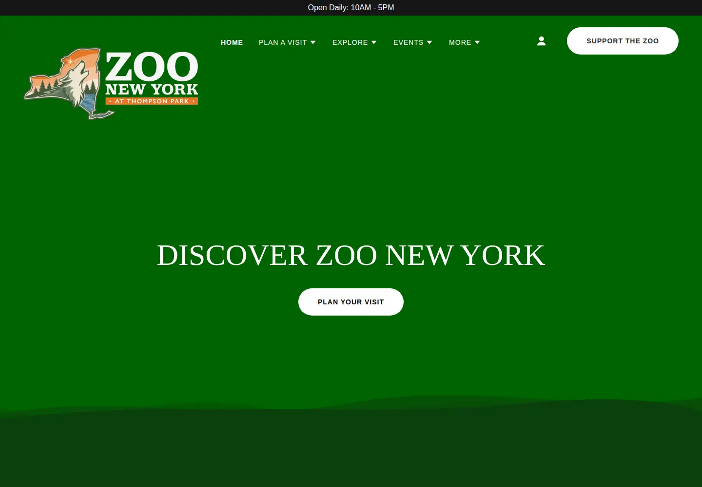 Captured homepage of zoonewyork.org in the current scan