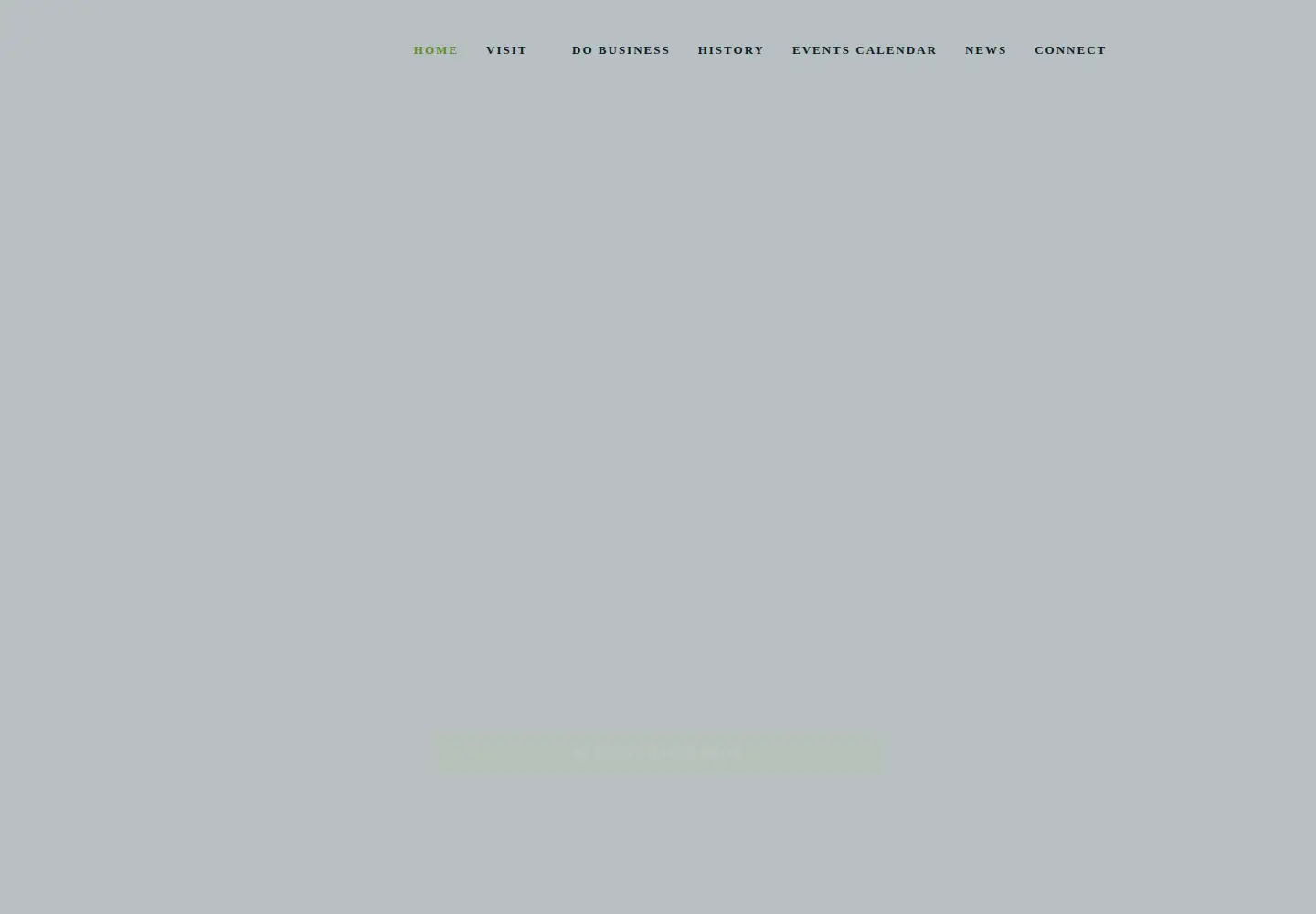 Screenshot of citywalkbham.com