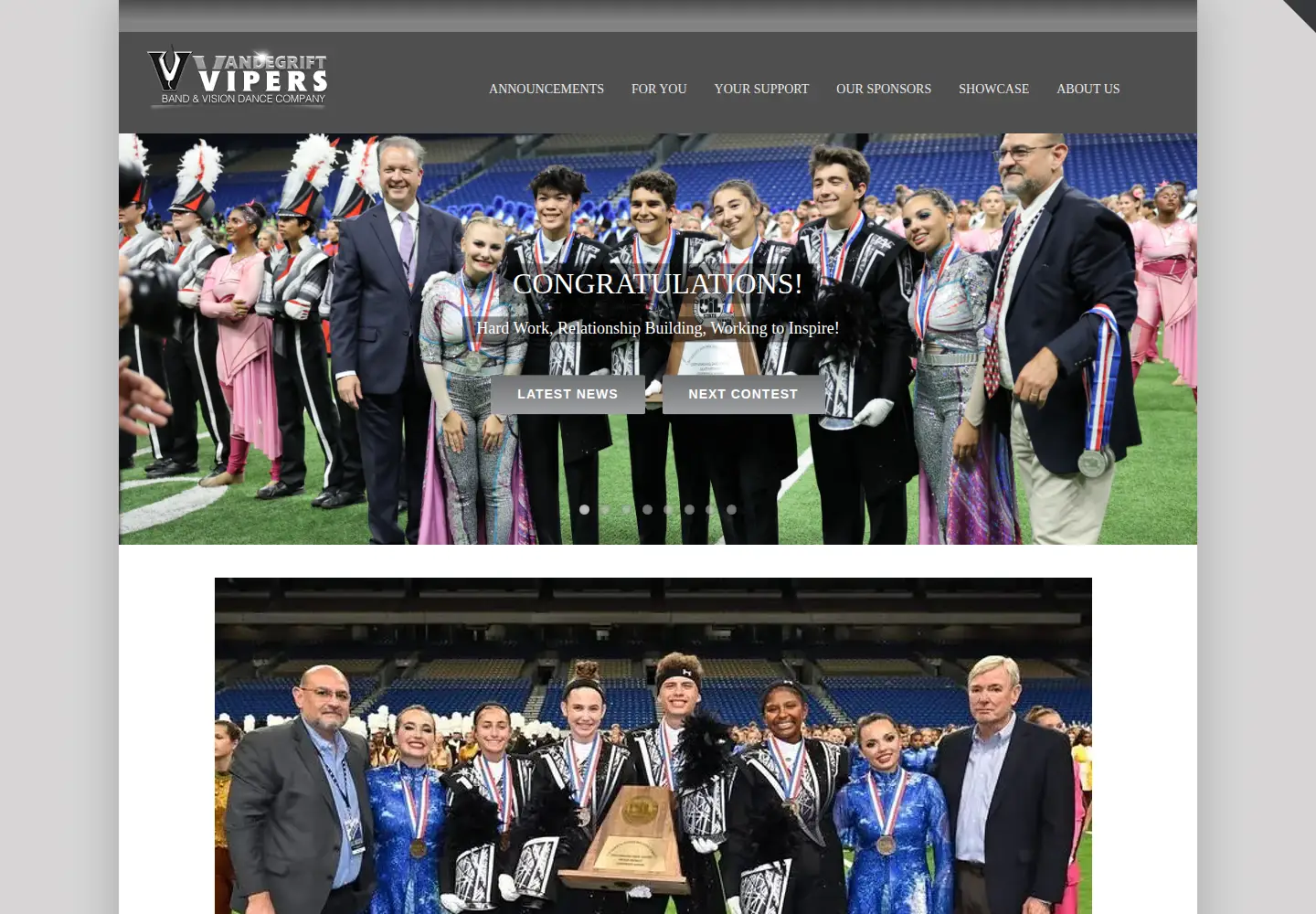 Screenshot of vhsband.com