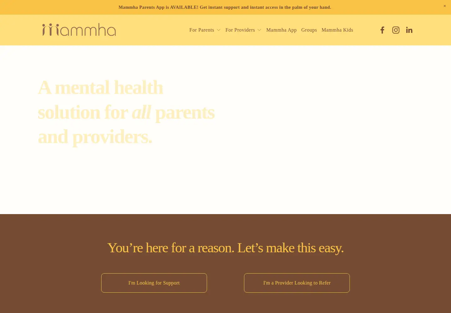 Captured homepage of mammha.com in the current scan